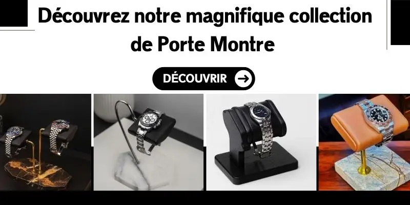 porte montre collection luxe
